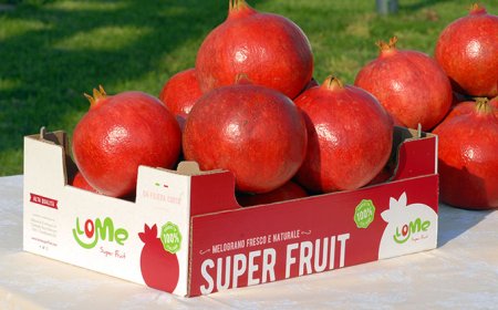 Masseria Fruttirossi: un convegno sulle proprietà benefiche della melagrana