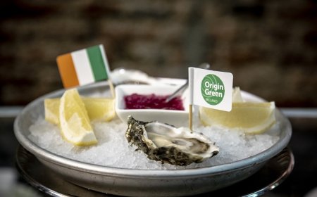 Le ostriche fra le prelibatezze irlandesi più amate al mondo: parola di Bord Bìa