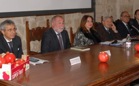 Masseria Fruttirossi: l'importanza della melagrana in un convegno scientifico