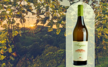 Il Pollenza Angera: alla riscoperta del Ribona "due volte buono"