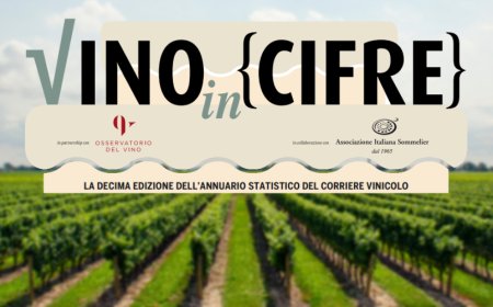 L'Annuario "Vino in cifre" 2020: l'evoluzione del settore con i suoi numeri