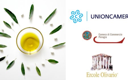 Aperte le iscrizioni per il Premio Ercole Olivario dedicato alle eccellenze olearie