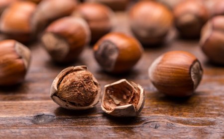 Il Consorzio della Nocciola di Calabria dice no a Ferrero. Ma il contratto di filiera c'è