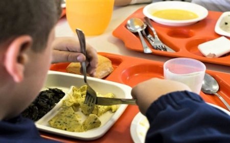 Gli errori delle mense scolastiche: poca frutta e verdura, troppi sprechi