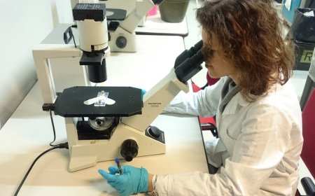 Balocco sostiene la ricercatrice Federica Fusella e il progetto Pink is Good