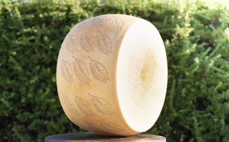 Verdiano di "Parma 2064" è il vegetariano fatto col latte del Parmigiano Reggiano