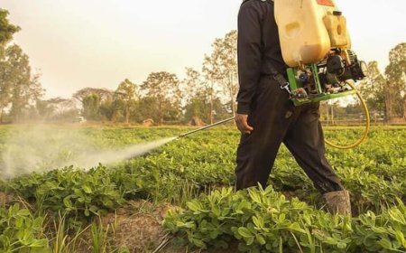 Si riapre il dibattito sul glifosato: l'EPA stabilisce che non è cangerogeno