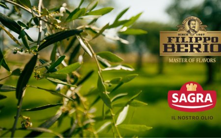 Salov e CNR: un progetto per salvare l'olivicoltura italiana