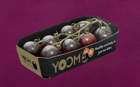 Il pomodoro viola Yoom vince l'Oscar dell'ortofrutta a Fruit Logistica