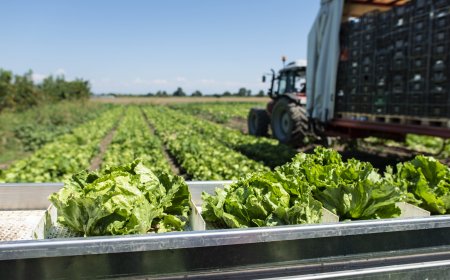 L'alimentare è il settore trainante della produzione industriale per Coldiretti