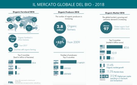 Cresce il mercato globale del Bio. I dati 2018 a Biofach 2020
