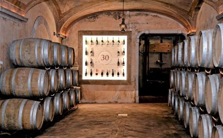 La Montina in Franciacorta accoglie gli enoturisti con tante attività