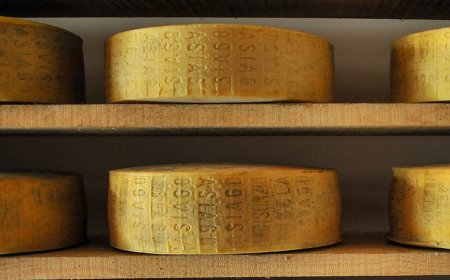 Asiago DOP in Giappone: i prossimi appuntamenti in Oriente per la dop italiana