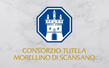 Morellino di Scansano DOCG: al via la modifica del disciplinare per aggiungere “Toscana” in etichetta