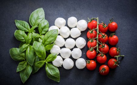 Approvato dal Consiglio dei Ministri il ddl sui reati agroalimentari