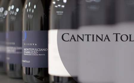 Berliner Wein Trophy: Cantina Tollo è la migliore cooperativa italiana