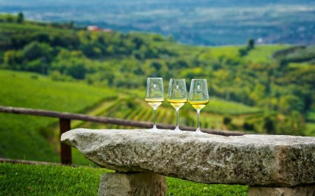 Il Soave cerca il segreto della sua longevità