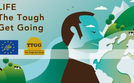 Progetto EU Life TTGG: Qualivita per le filiere dei formaggi DOP IGP