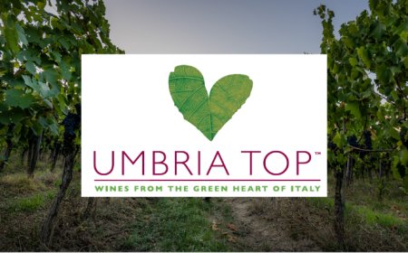Umbria Top Wines: stop Vinitaly necessario per ripartire con più forza