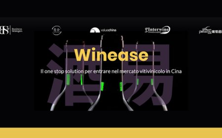 Winease: la piattaforma per promuovere e vendere online il vino in Cina