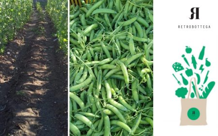 RetroBottega inaugura i delivery box vegetali per aiutare i piccoli produttori