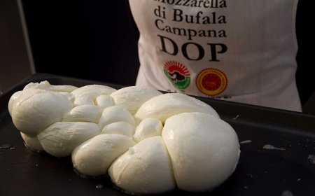 Coronavirus: impegno urgente di Regione e Consorzio per la filiera bufalina