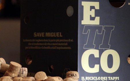 AIS Veneto e Amorim Cork Italia insieme per il progetto ETICO