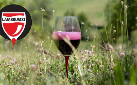 Nasce il Consorzio Tutela Lambrusco. Sarà operativo dal 1° gennaio 2021