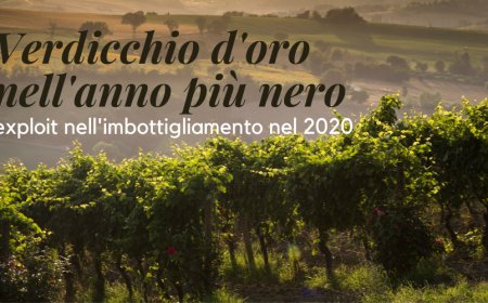 Verdicchio d'oro nell'anno più nero: exploit nell'imbottigliamento nel 2020