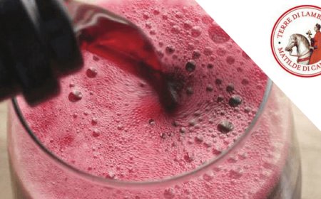 In autunno la nona edizione del Concorso enologico Matilde di Canossa - Terre di Lambrusco