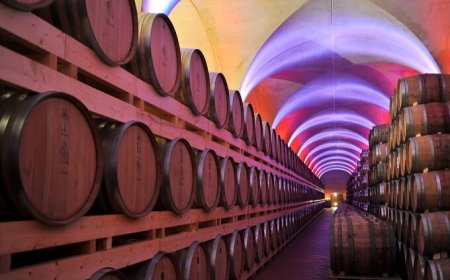 Nicolantonio Milella è il bartender che ha vinto il premio di Distillerie Berta