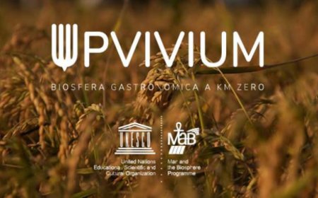 UPVIVIUM il contest gastronomico a Km zero entra nel vivo