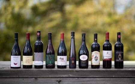 Tutti i vincitori del Trofeo Schiava dell’Alto Adige 2019