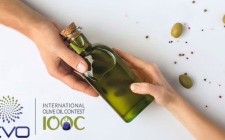 EVO IOOC 2019: tutti i vincitori del contest internazionale