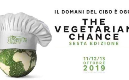 The Vegetarian Chance 2019: otto concorrenti da tutto il mondo per la cucina di domani
