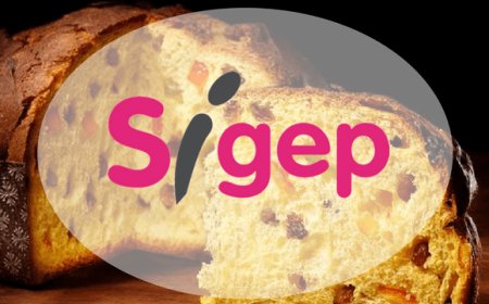 Osservatorio Sigep: verranno spesi 6 miliardi per i dolci natalizi