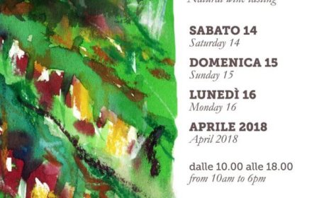 Villa Favorita 2018: VinNatur guarda al futuro