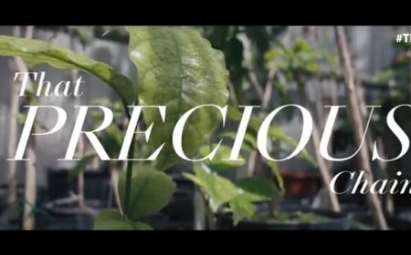 TriestEspresso Expo: il video numero 7 è sulla genetica del caffè