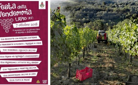 La Festa della Vendemmia a Lapio, la patria del Fiano di Avellino Docg