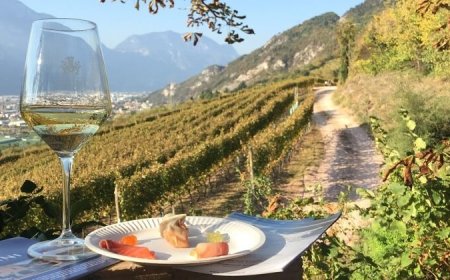 DiVin Ottobre: in 4.000 alla XIII rassegna autunnale