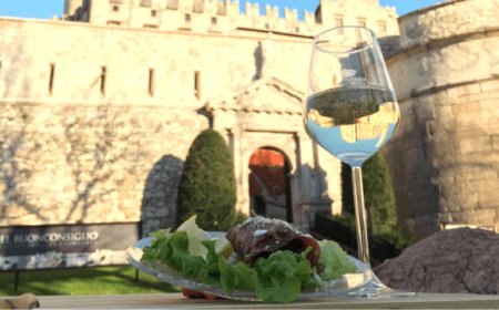 Happy Trentodoc: dal 22 novembre al 9 dicembre si brinda ogni giorno