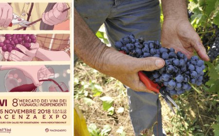 FIVI in vista del Mercato di Piacenza ribadisce richieste importanti