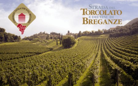 Prima del Torcolato 2019: a gennaio si celebra la DOC Breganze