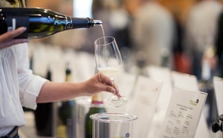 Top of Vini Alto Adige: i vini premiati dalla critica enologica