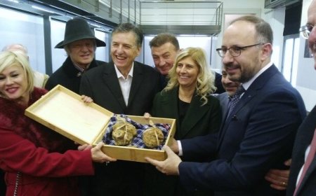 Oltre 600mila visitatori alla Fiera del Tartufo Bianco di Alba