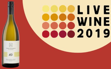 Thomas Niedermayr al Live Wine 2019 con un nuovo vino da uve resistenti
