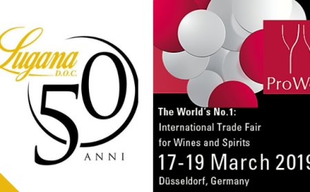 Consorzio Tutela Lugana Doc sarà a ProWein 2019