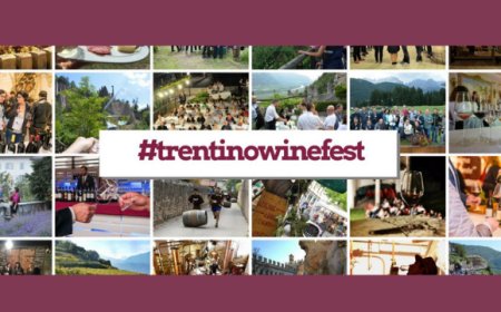 Strada del Vino e dei Sapori del Trentino: un anno di eventi dedicati al vino