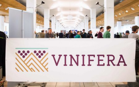 Grande successo per Vinifera Trento: alta qualità e cultura del vino
