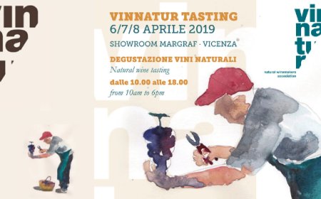 VinNatur Tasting a Gambellara l'appuntamento con i vini naturali